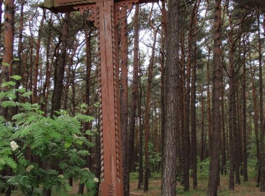 Wolontariuszem TY i JA