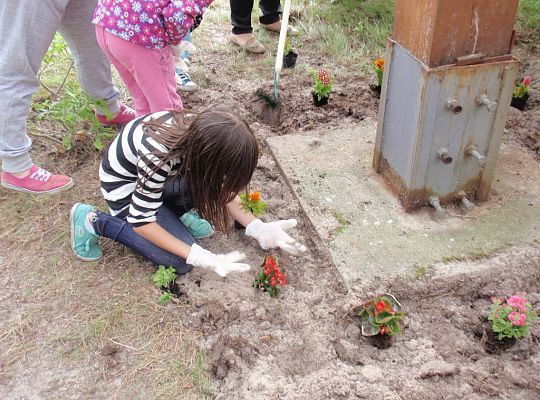 Wolontariuszem TY i JA