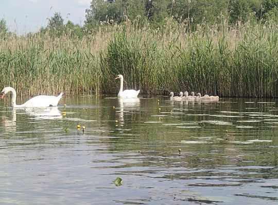 Kolpingowski spływ kajakowy
