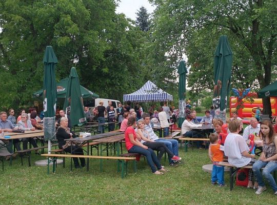 Święto NGO w Niewieścinie