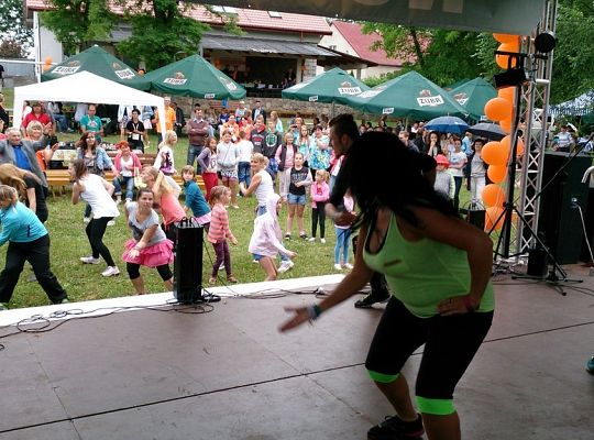 Święto NGO w Niewieścinie