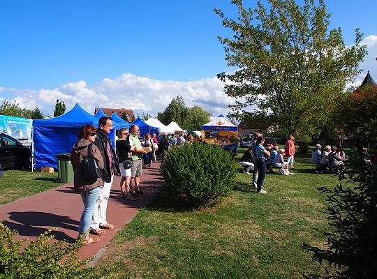 Kaszubskie camino 2014