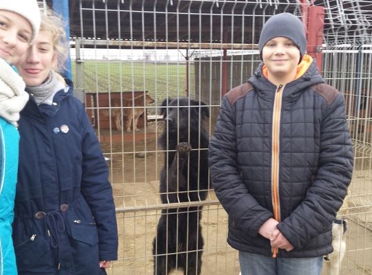 Młody Kolping w schronisku dla zwierząt