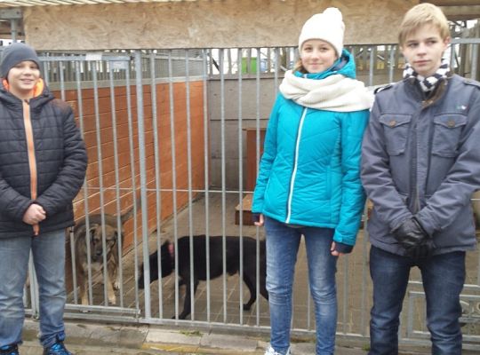 Młody Kolping w schronisku dla zwierząt