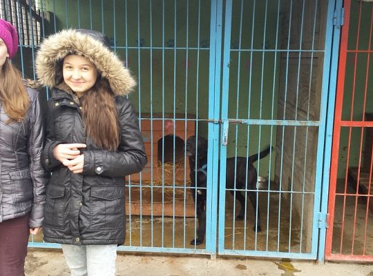 Młody Kolping w schronisku dla zwierząt