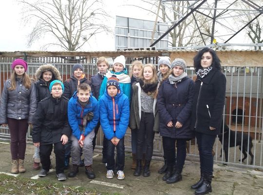 Młody Kolping w schronisku dla zwierząt