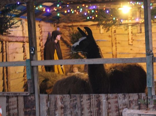 Orszak Trzech Króli w Łebie