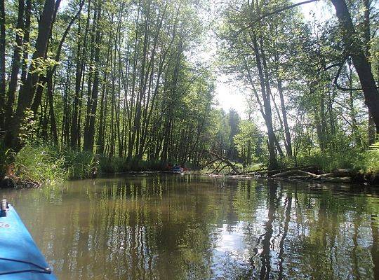 Kolpingowski spływ kajakowy