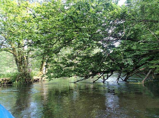 Kolpingowski spływ kajakowy