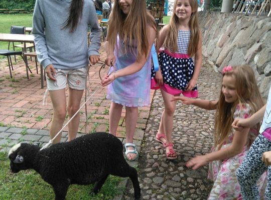 Festyn Nocy Świętojańskiej w Niewieścinie