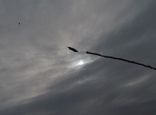 Jesienne Zawody Latawcowe