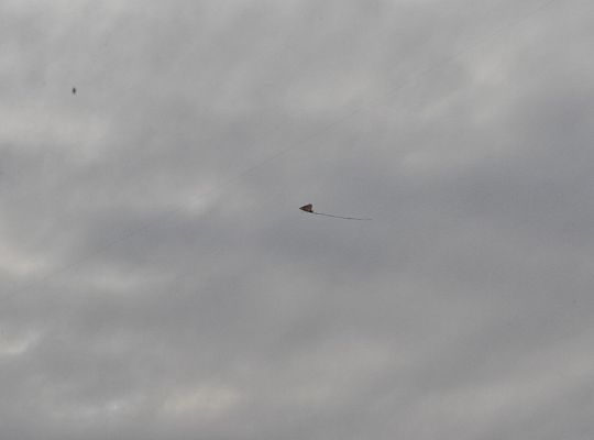 Jesienne Zawody Latawcowe