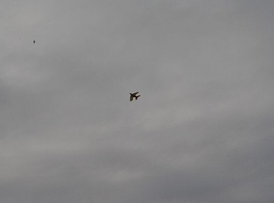 Jesienne Zawody Latawcowe