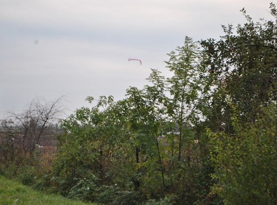 Jesienne Zawody Latawcowe