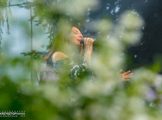 Katolicy na ulicy II edycja