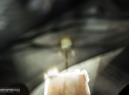 Katolicy na ulicy II edycja