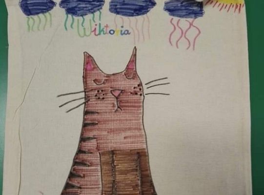 Akademia Aktywności w Niewieścinie 2018