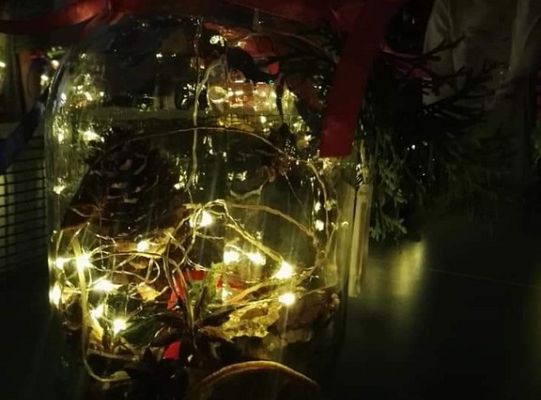 Akademia Aktywności w Niewieścinie 2018