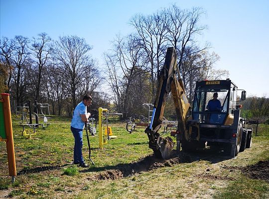 Zadrzewienie terenu siłowni zewnętrznej w Niewieścinie