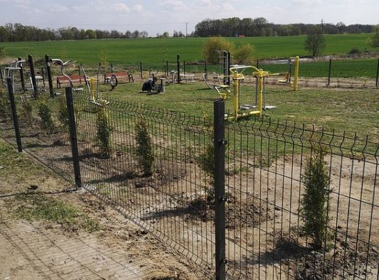Zadrzewienie terenu siłowni zewnętrznej w Niewieścinie