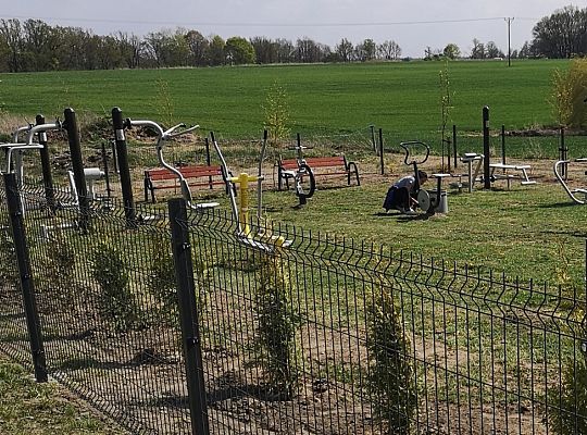 Zadrzewienie terenu siłowni zewnętrznej w Niewieścinie