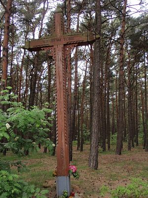 Wolontariuszem TY i JA