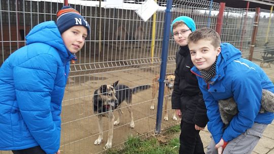 Młody Kolping w schronisku dla zwierząt