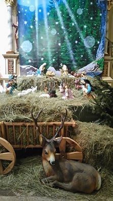 Życzenia świąteczne i noworoczne